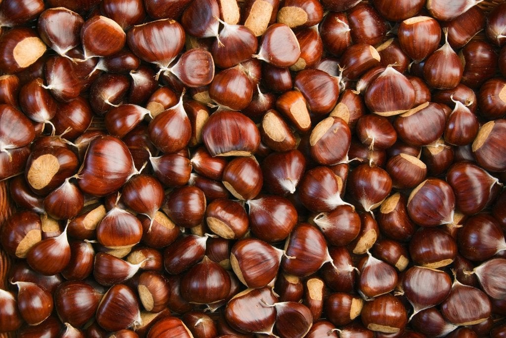 25 kilo Tamme kastanjes € 3 per kilo, Ophalen of Verzenden