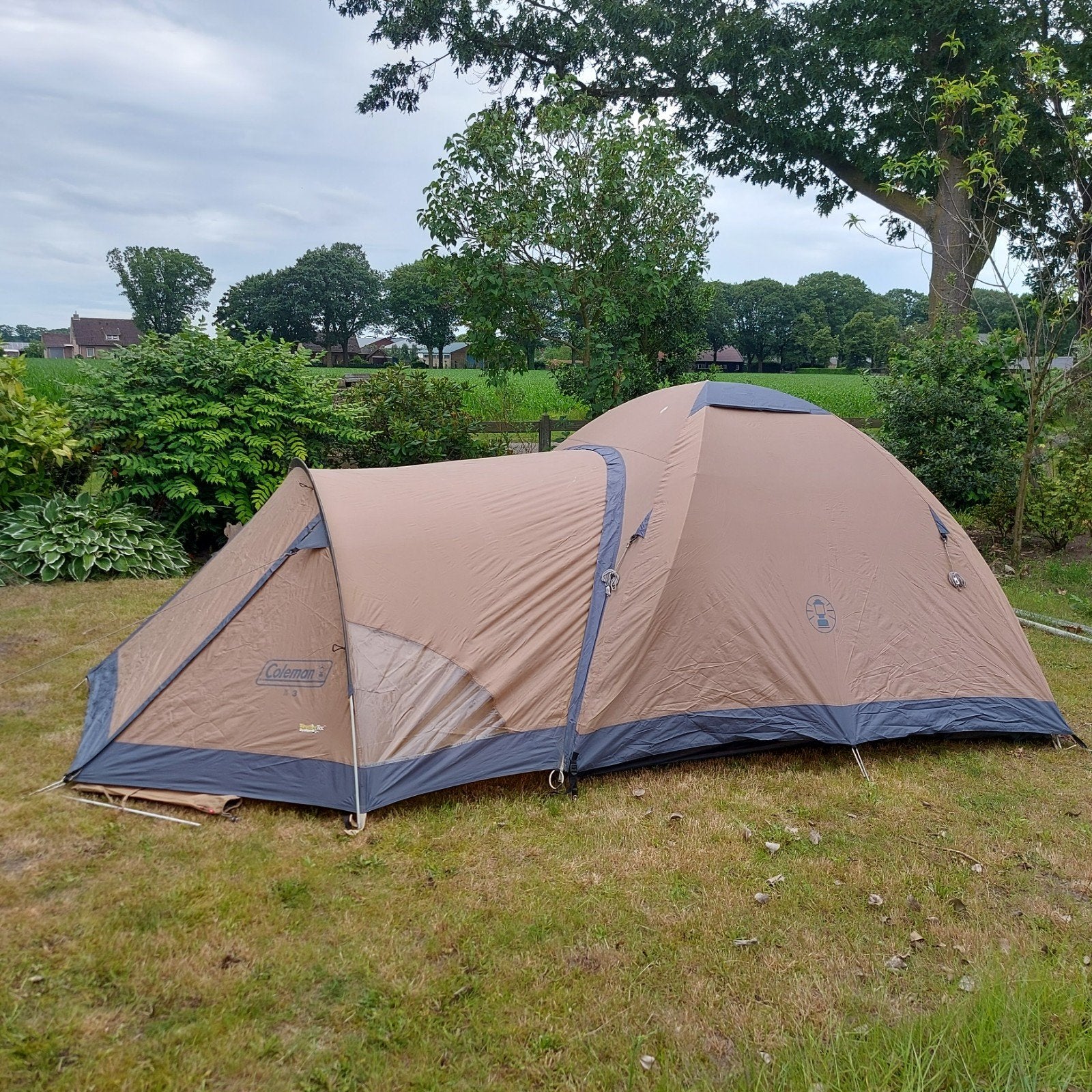 Coleman Tent Cobra 3 - Lichtgewicht en Compact, Ophalen of Verzenden
