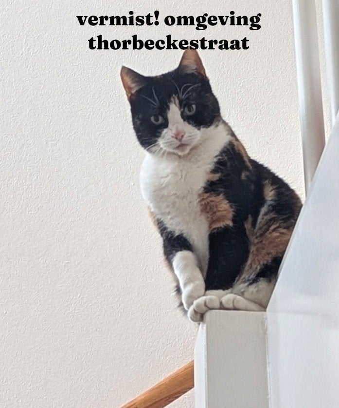 VERMIST Milow, Kat