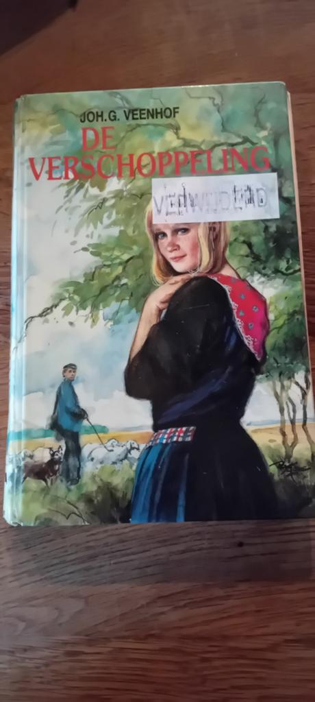 De Verschoppeling - door Joh. G. Veenhof, Boeken, Ophalen of Verzenden, Gelezen