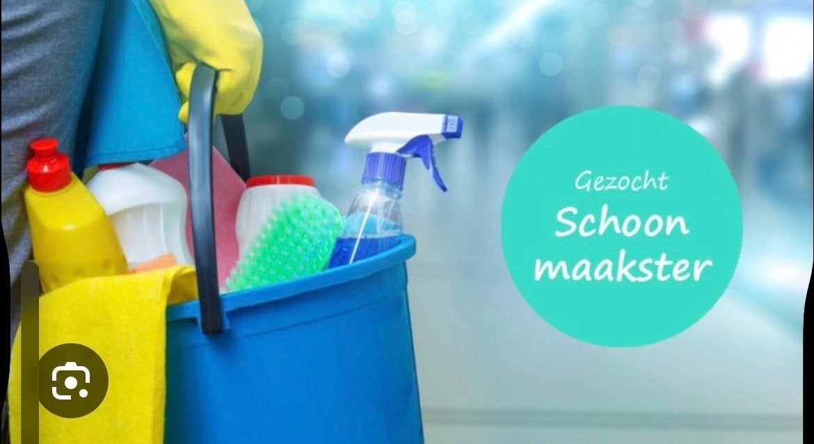 Schoonmaakhulp gezocht, Schoonmaken woning