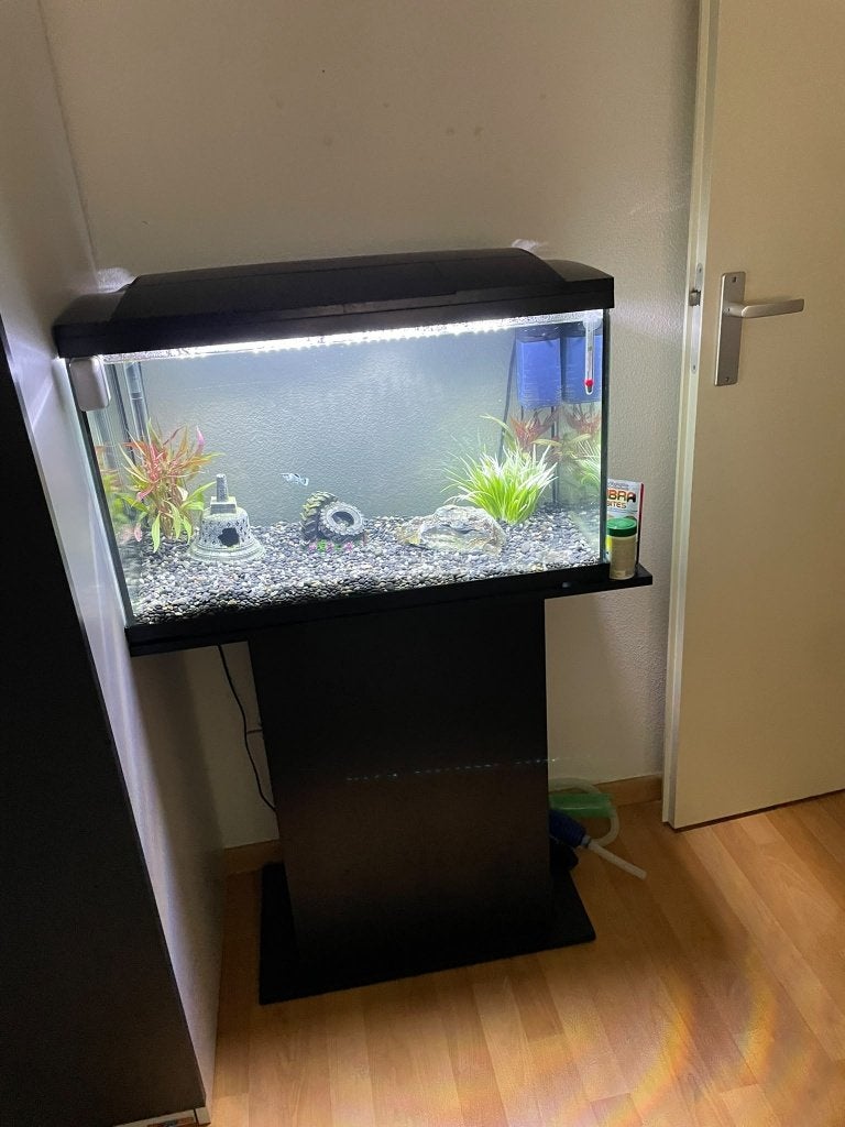 aquarium en toebehoren, Ophalen, Superfish, Inclusief vissen, Gevuld zoetwateraquarium