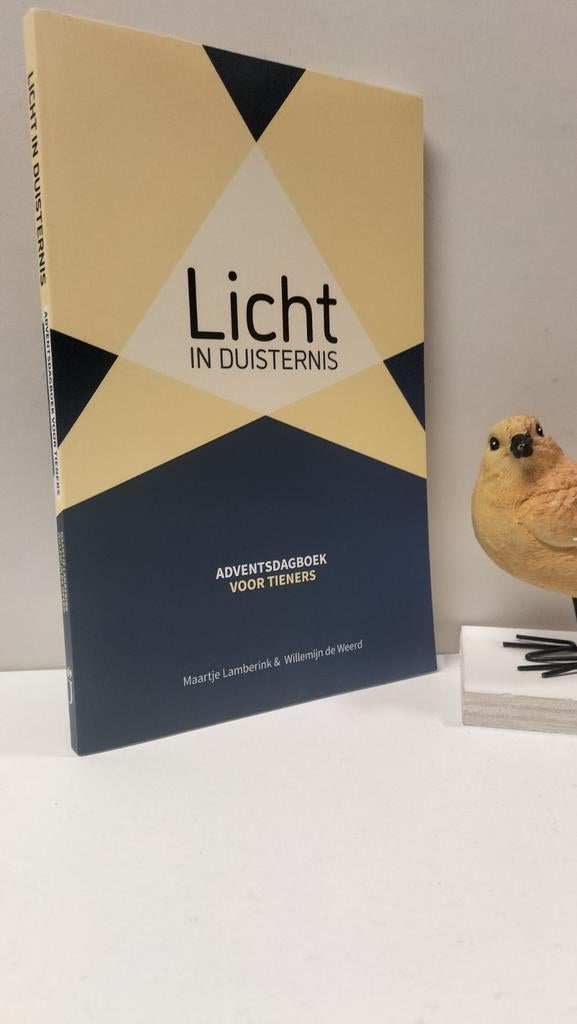 Lamberink, Maartje e.a.; Licht in Duisternis, Ophalen of Verzenden, Gelezen, Christendom | Protestants