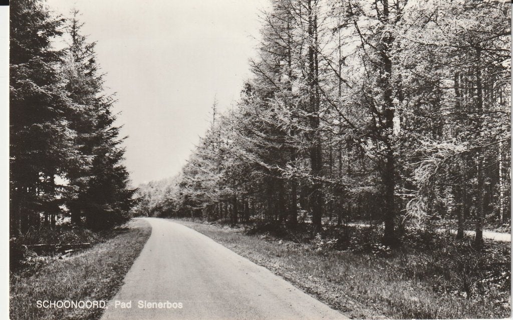 Schoonoord    Camping Laweda, Ophalen of Verzenden, 1940 tot 1960, Ongelopen, Drenthe