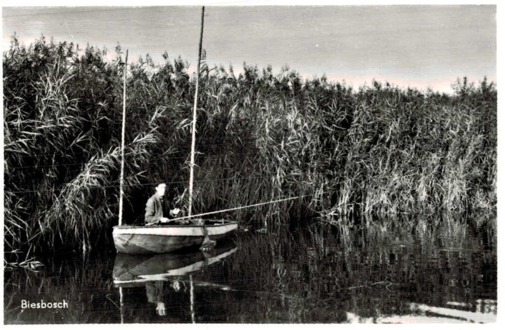 1962 BIESBOSCH - Visser in boot, Ophalen of Verzenden, 1940 tot 1960, Ongelopen, Zuid-Holland