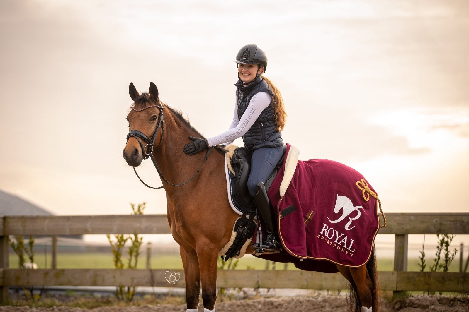 Hulp nodig bij de koop of verkoop van jouw pony?, Dieren en Toebehoren, Ruin, D pony (1.37m tot 1.48m), 7 tot 10 jaar