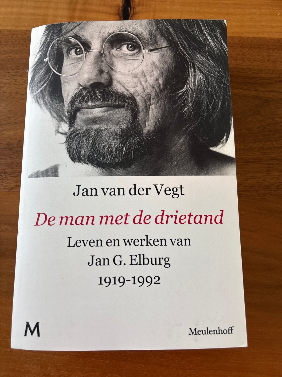 De man met de drietand - Jan van der Vegt, Ophalen of Verzenden, Zo goed als nieuw, Kunst en Cultuur
