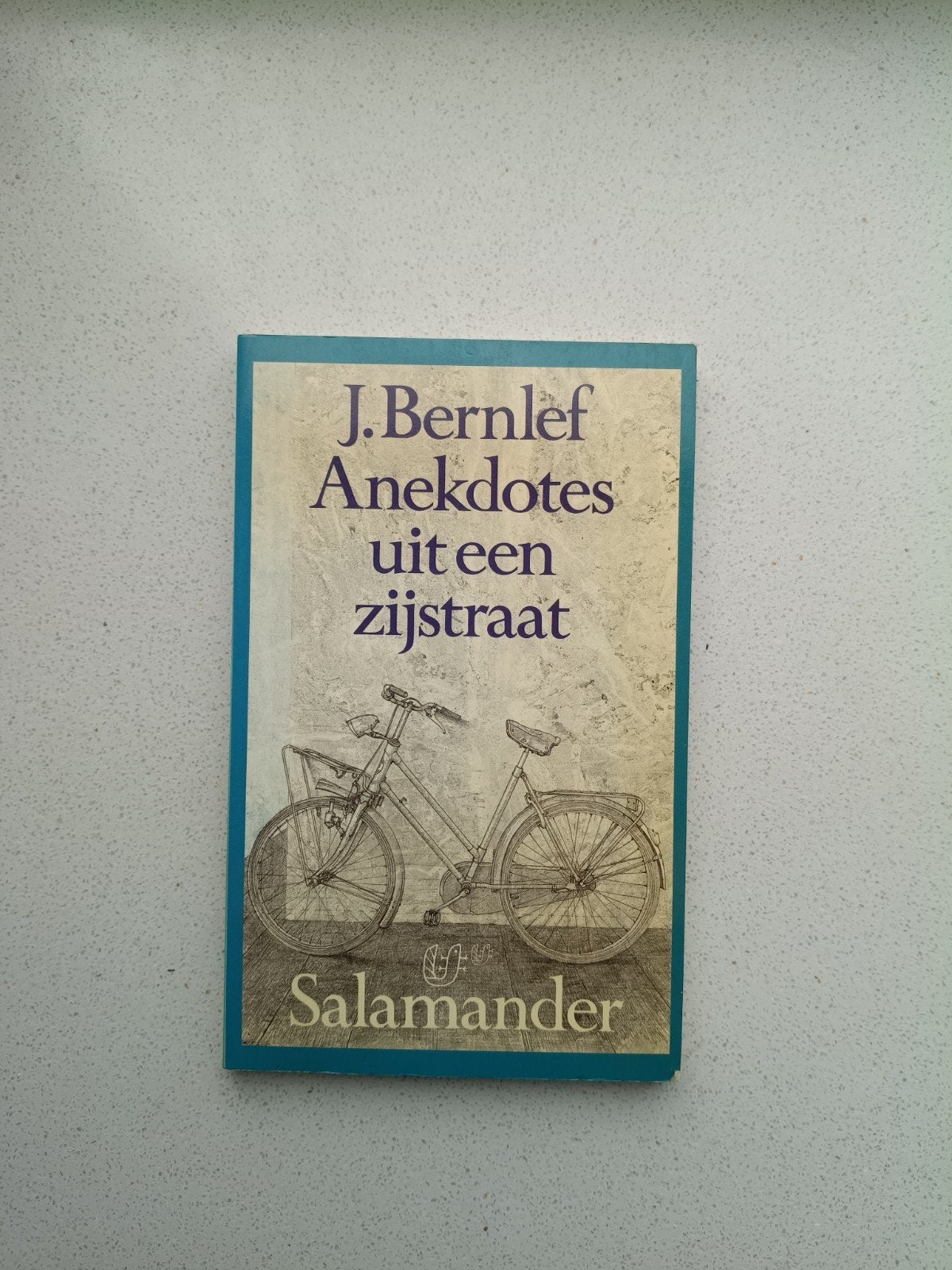 Anekdotes Uit een Zijstraat - J. Bernlef, Ophalen of Verzenden, Gelezen