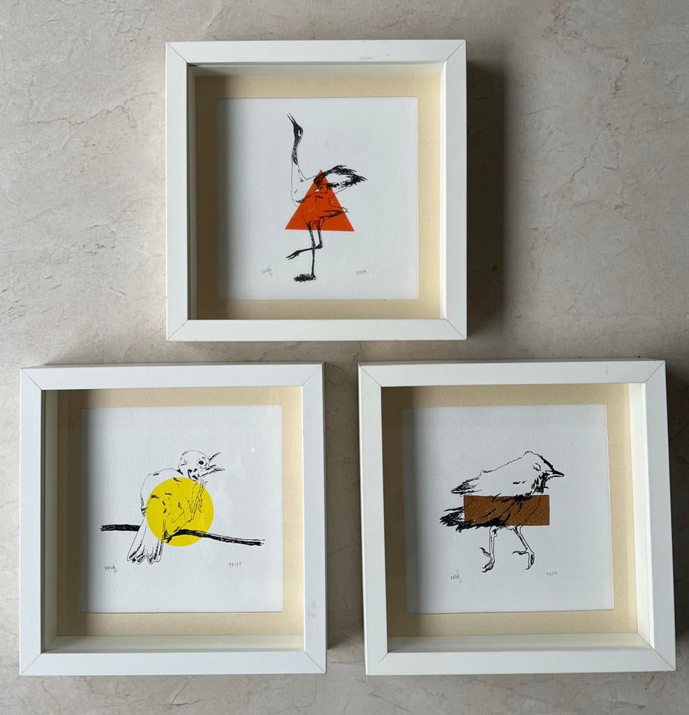 3 Zeldzame Limited Edition Prints Maartje den Noort - Vogels, Antiek en Kunst, Kunst | Etsen en Gravures, 2000 tot heden, Ingelijst