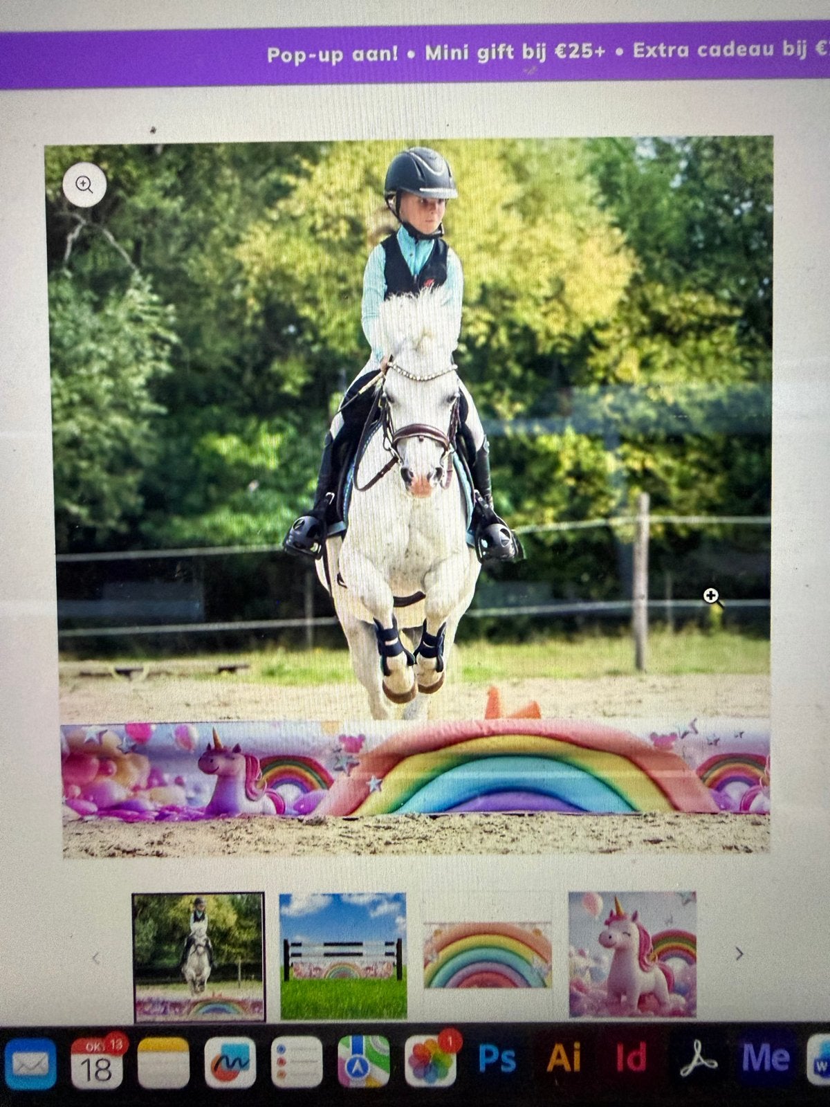 Jumpbanner hinderniszeil bixie unicorn dreams, Bixie, Bixie, Nieuw, Ophalen of Verzenden