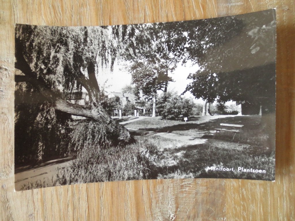 Ansichtkaart : Montfoort Plantsoen . Ongelopen kaart., Verzamelen, Ansichtkaarten | Nederland, Ophalen of Verzenden, 1960 tot 1980