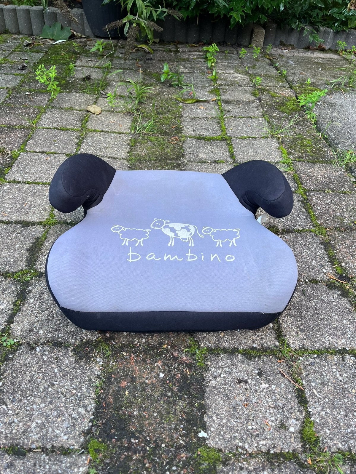 Zitverhoger, Autogordel, 15 t/m 36 kg, Zo goed als nieuw, Ophalen