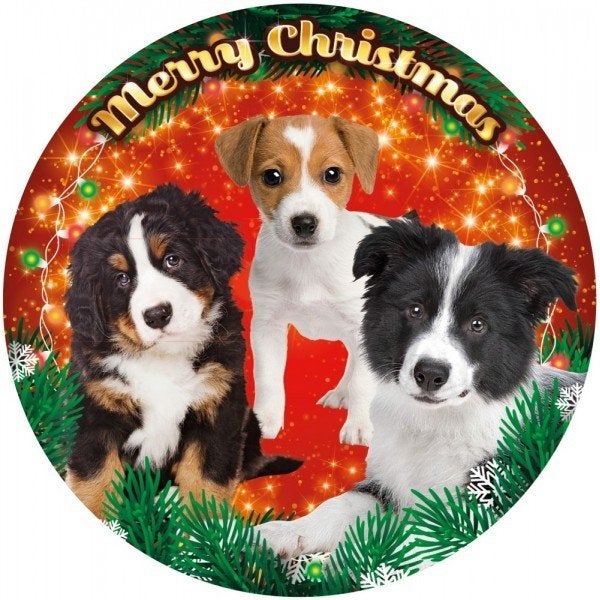 Kerst LED-lamp Berner Sennen, Border Collie en Jack Russel, Ophalen of Verzenden, Nieuw