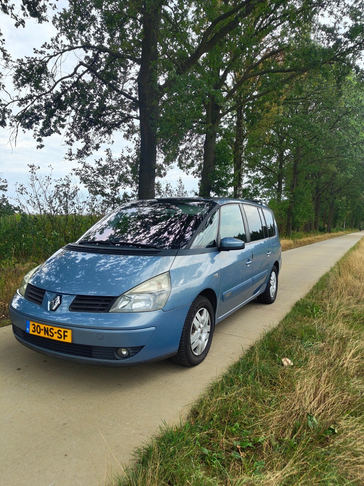 Renault Grand Espace 2.0L turbo, automaat, Ophalen, Overige typen, Overige merken