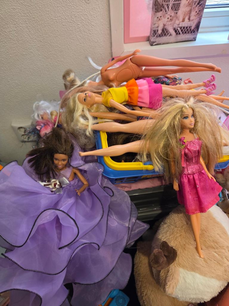 Barbies en Poppenhuizen compleet met inrichting, Ophalen, Gebruikt, Poppenhuis