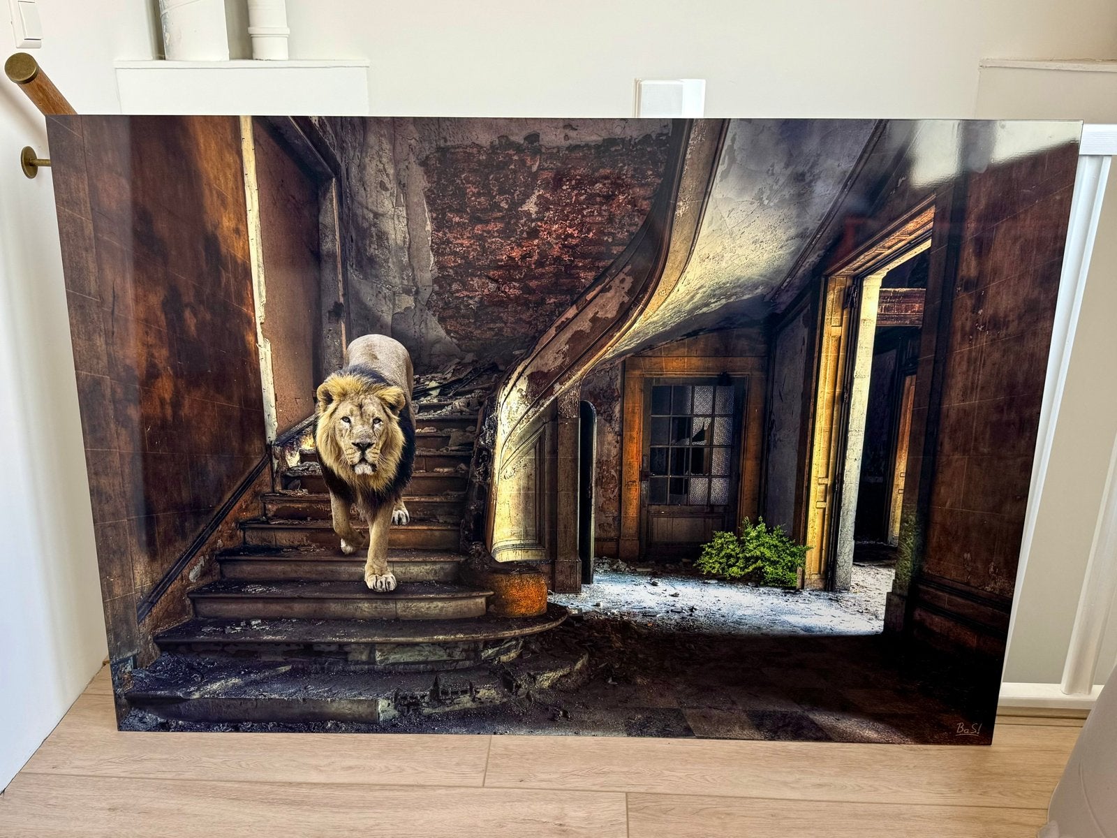 Dibond schilderij 1x1,5m - Leeuw op trap, Dieren, Print, Metaal, Ophalen