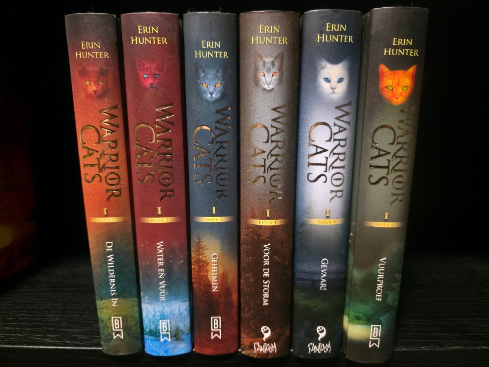 Warrior Cats serie 1 boek 1 t/m 6, Boeken, Ophalen, Gelezen, Erin Hunter, Fictie algemeen