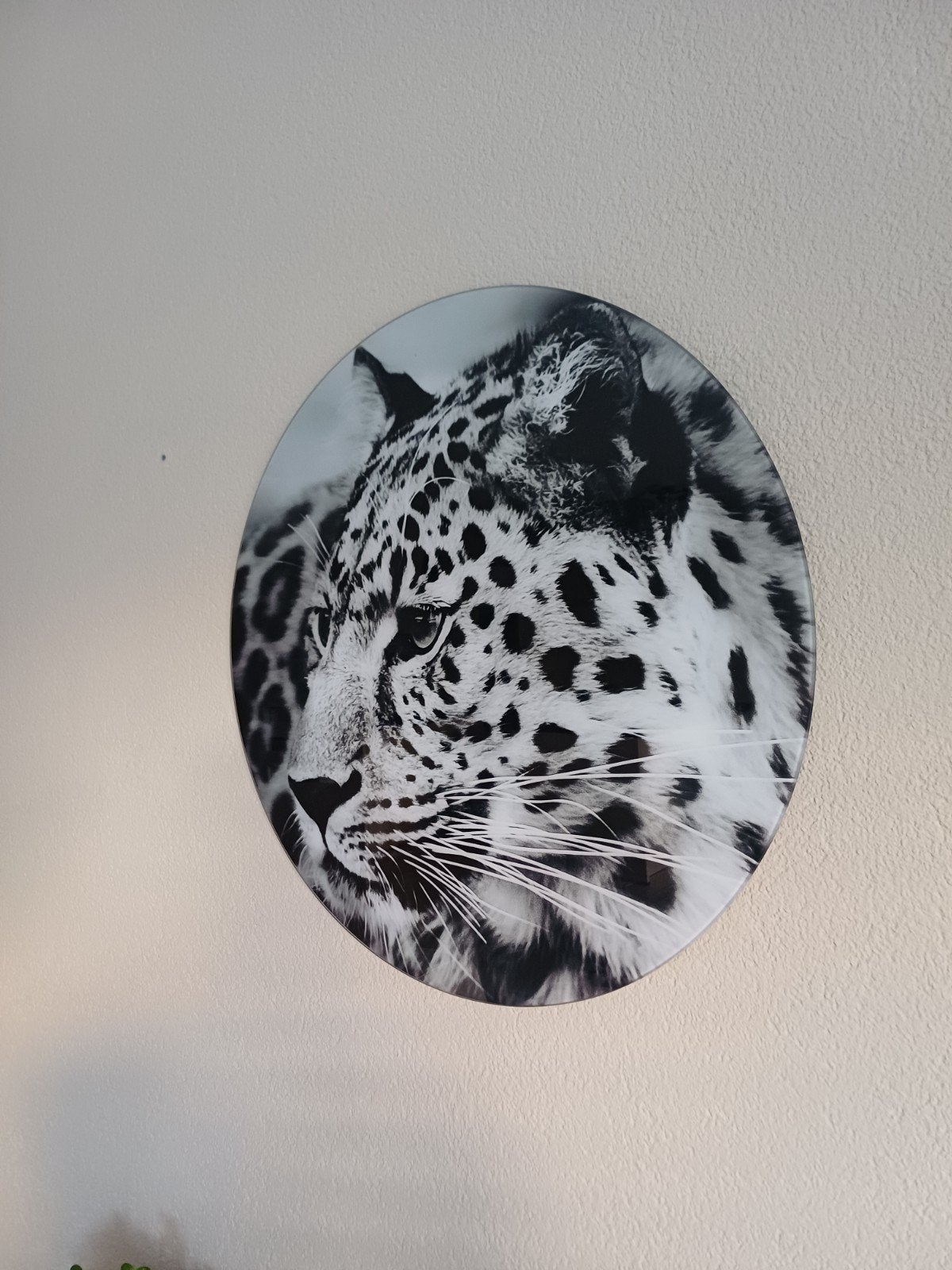 glasschilderij panter, Ophalen, 50 tot 75 cm, Schilderij