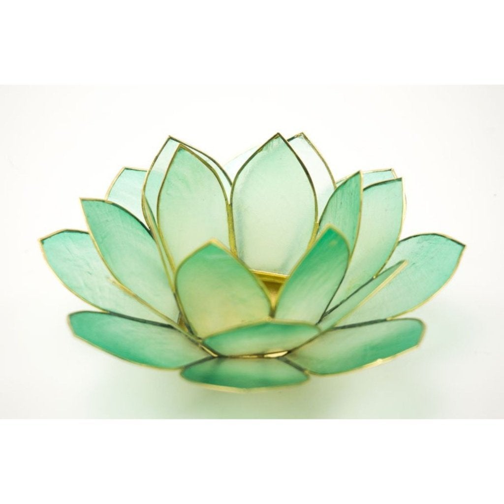 groene lotus kandelaar van Capiz schelp 15 cm van Kinta, Overige materialen, -, Overige merken, -