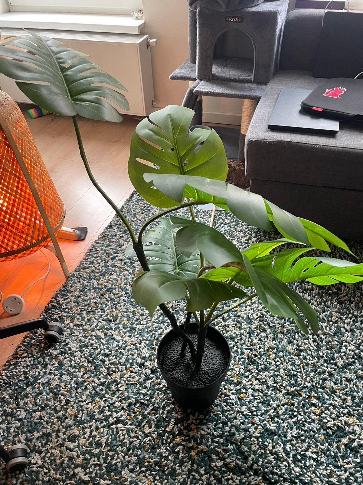 2x Ikea FEJKA 19cm Alocasia, Ophalen of Verzenden, Halfschaduw, Minder dan 100 cm