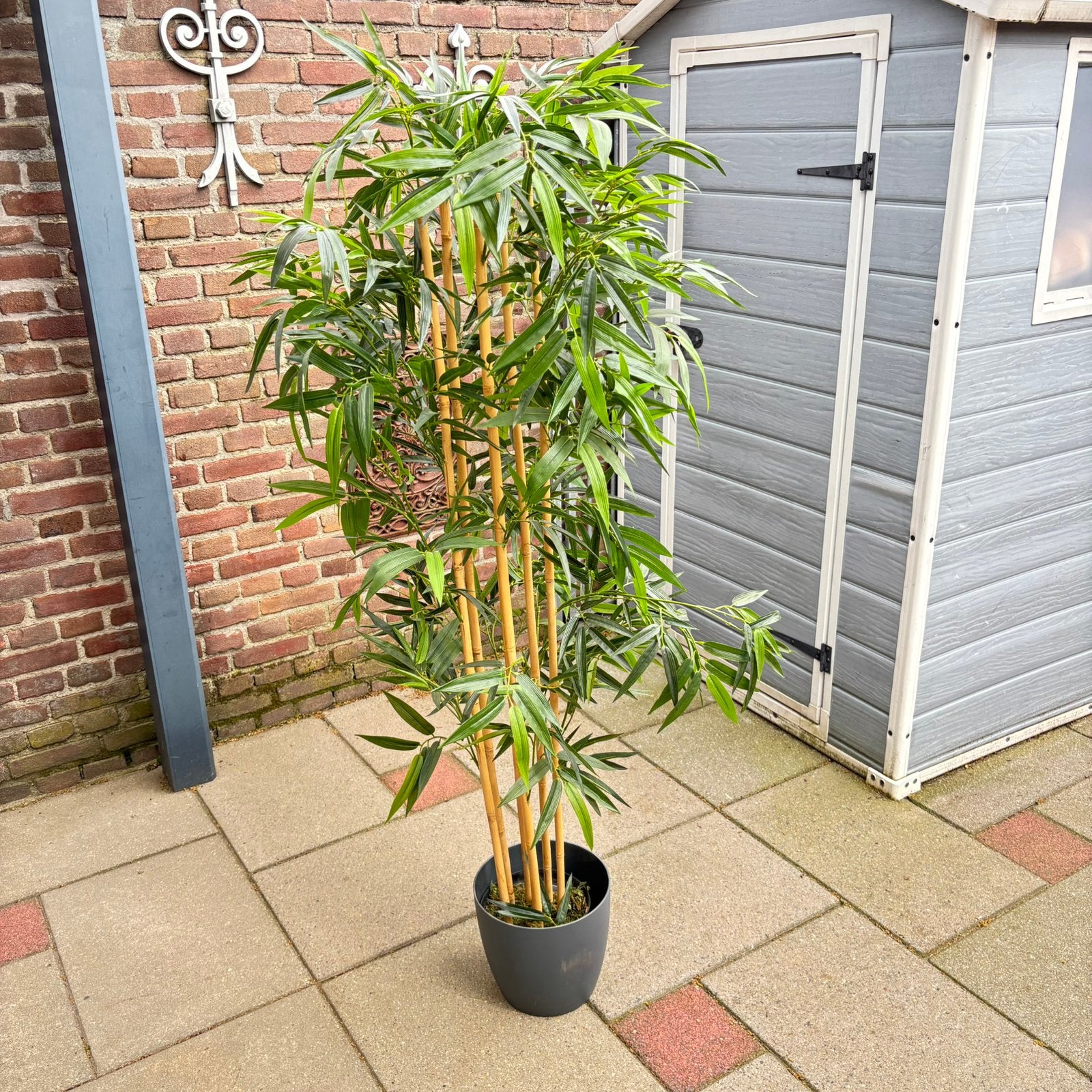 Bamboe kunstboom, Ophalen, Zo goed als nieuw