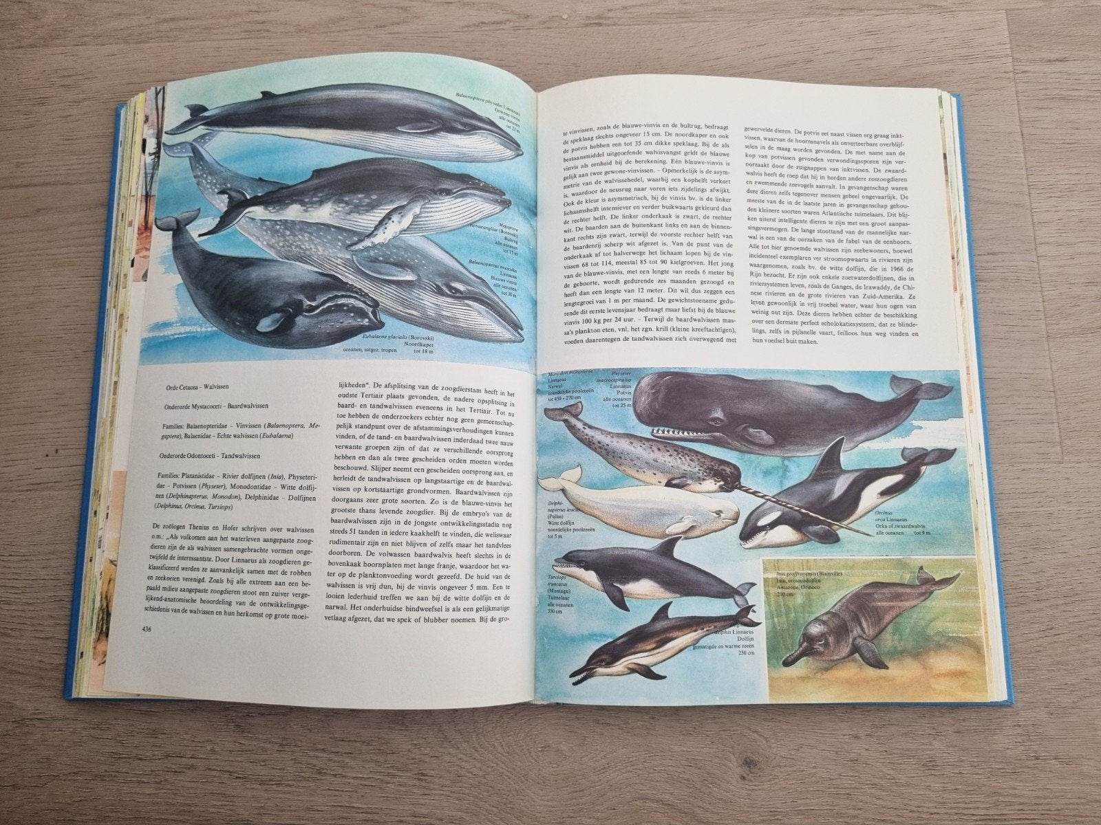 Encyclopedie van het Dierenrijk - Deel 2, Boeken, Encyclopedieën, Gelezen, Los deel, Dieren, Verzenden