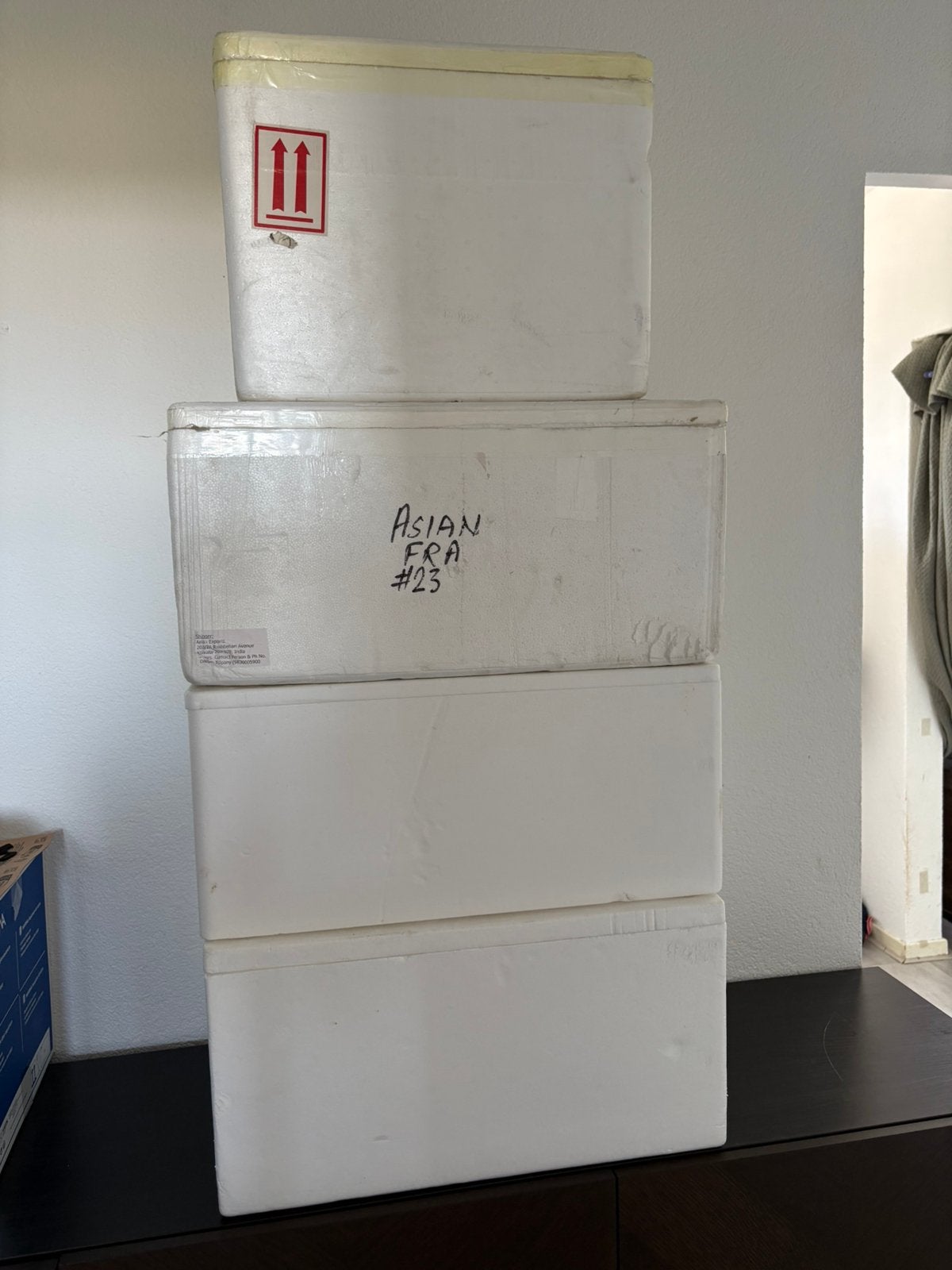 4 grote Tempex dozen €10, Ophalen, Doos, 40 tot 60 cm, 50 tot 75 cm