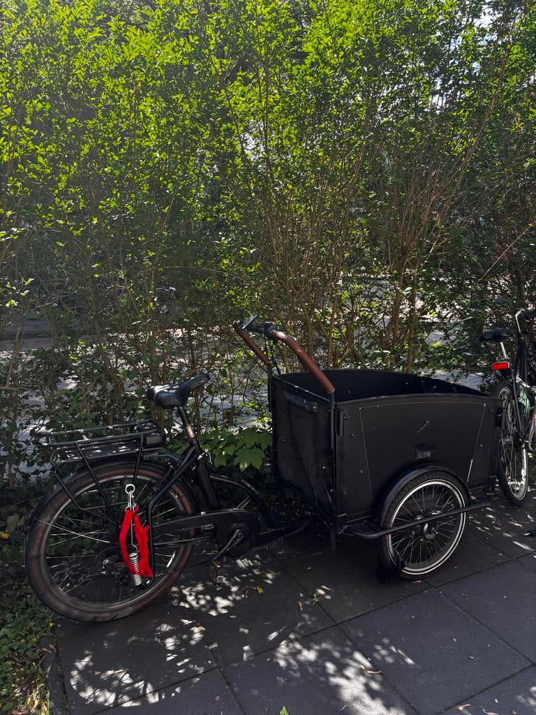 Vogue Troy elektrische bakfiets met regenhuif, Fietsen en Brommers, Fietsen | Bakfietsen, Overige merken, 4 kinderen of meer, Elektrisch