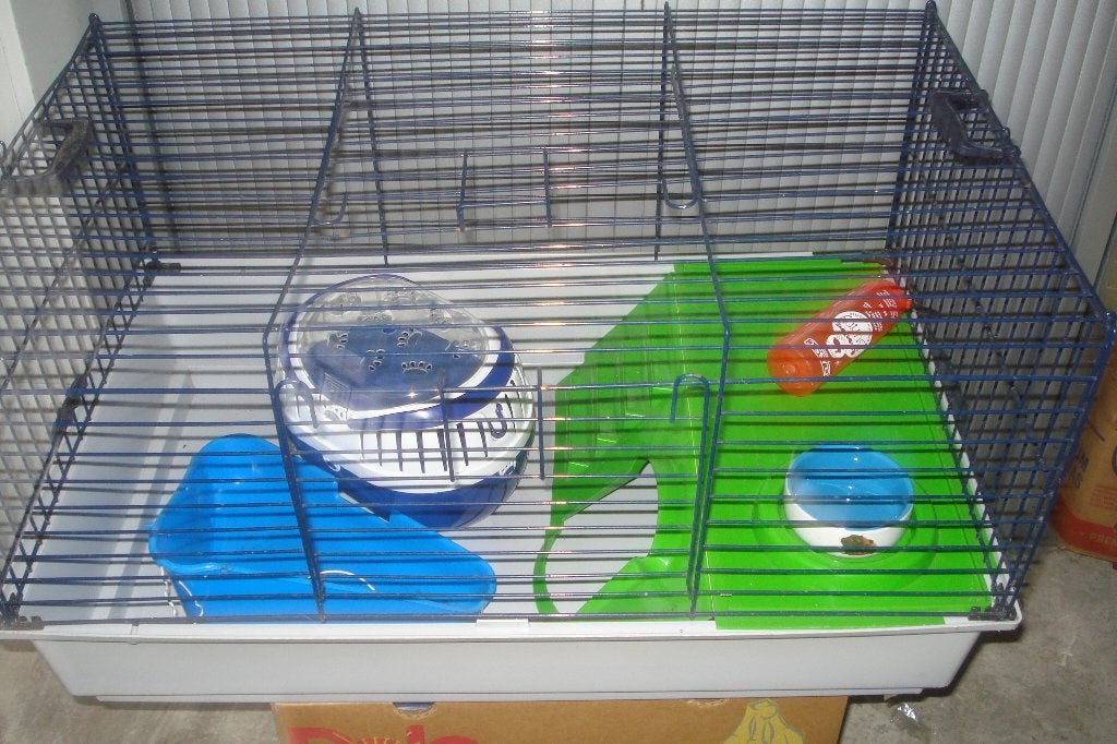 KNAAGDIEREN KOOI  NIEUW, 60 tot 90 cm, Ophalen of Verzenden, Hok, 75 tot 110 cm