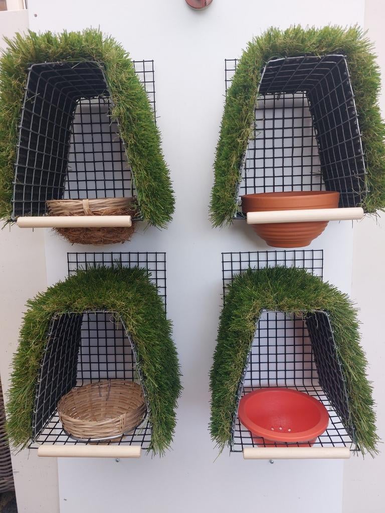 Mooie Nest kapellen., Meerdere dieren