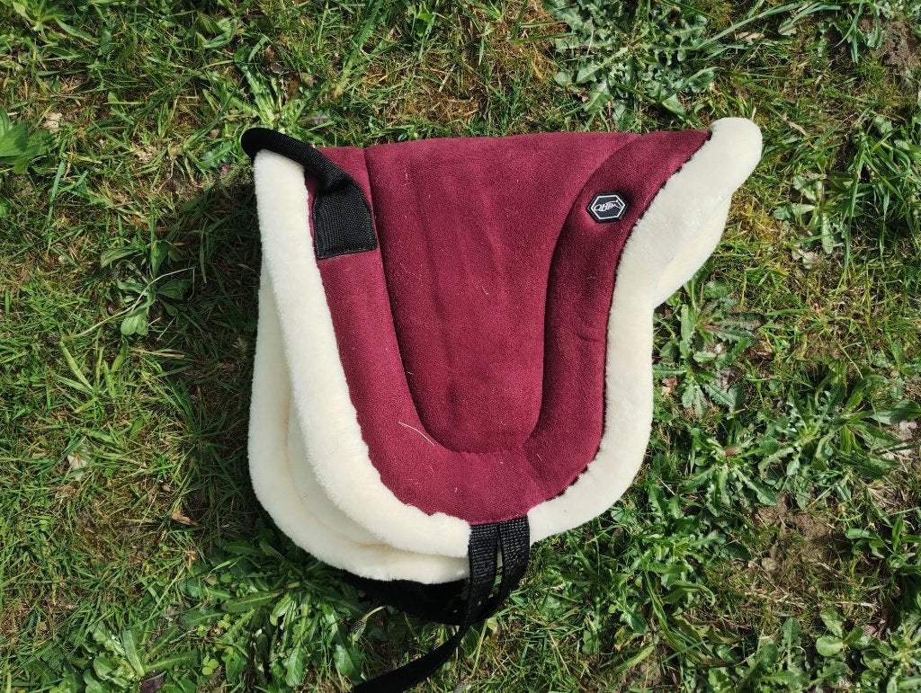 Nieuw! Barebackpad QHP shetlander bordeaux, Shetlander/Mini, Rood, Ophalen of Verzenden, Zo goed als nieuw