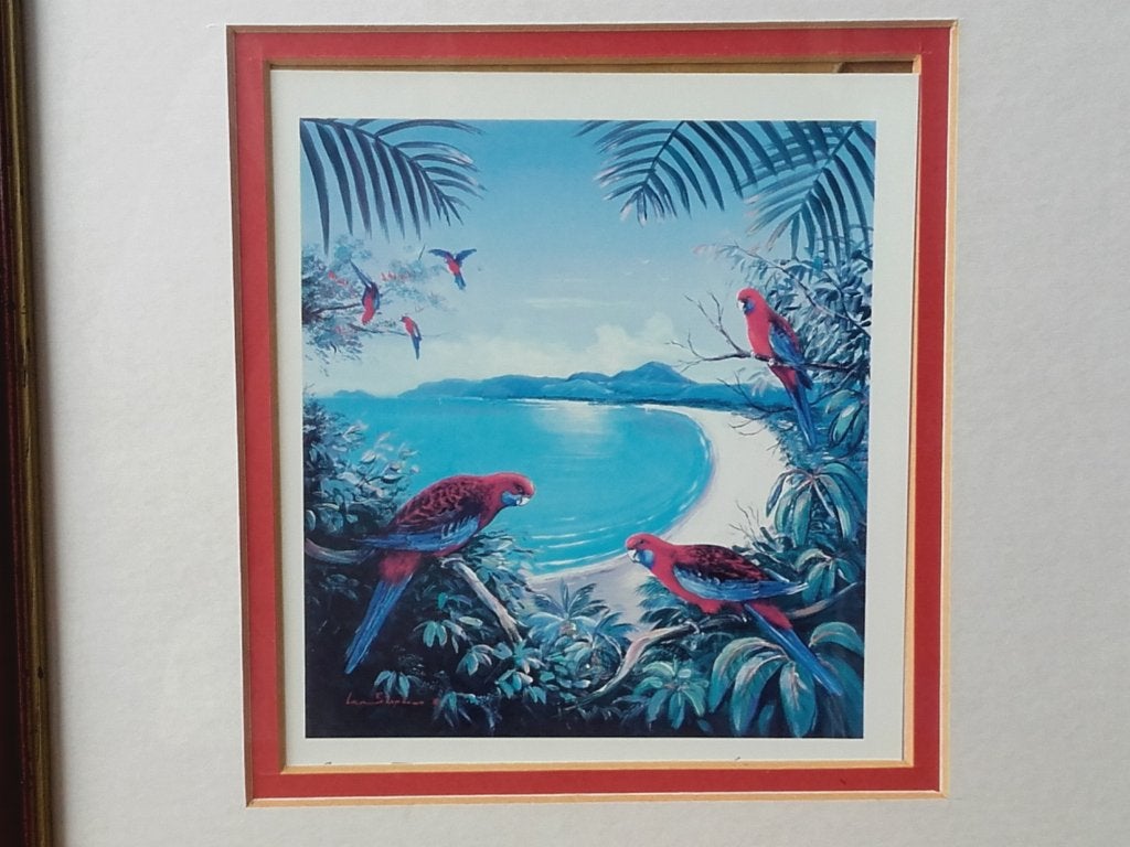Drie mooie vintage ingelijste prenten met vogels 26-61 cm., Ophalen of Verzenden
