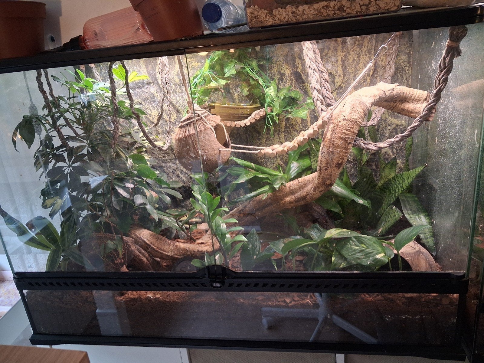 Terrarium exo terra. EXCLUSIEF SPULLEN  90×45×60, 0 tot 2 jaar