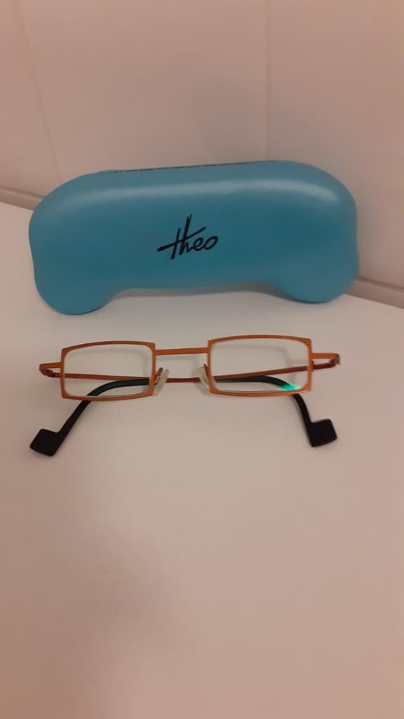 Brilmontuur Theo design, incl. doosje, Ophalen, Overige merken