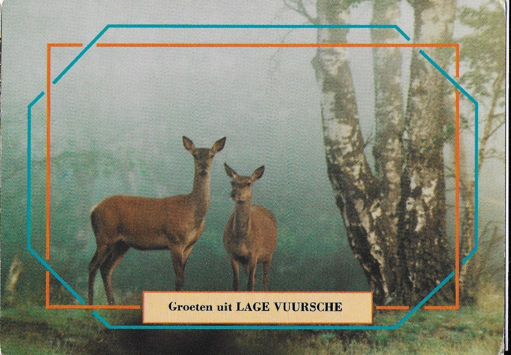 V254 Gelopen ansichtkaart groeten uit lage Vuursche, Verzamelen, Ansichtkaarten | Nederland, Ophalen of Verzenden, 1980 tot heden