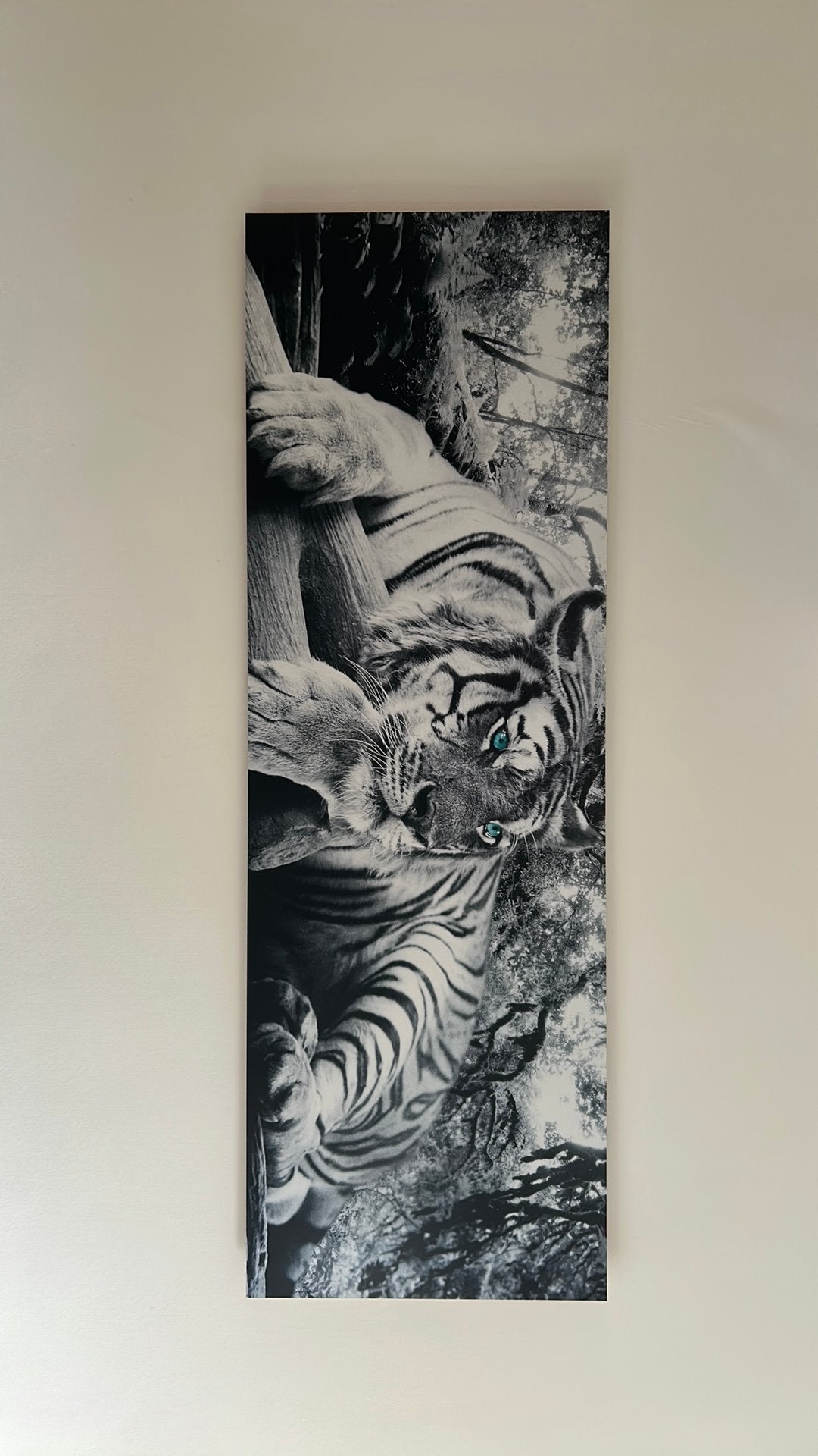 Schilderij tijger, Ophalen, 50 – 75, 125 cm of meer, Zo goed als nieuw