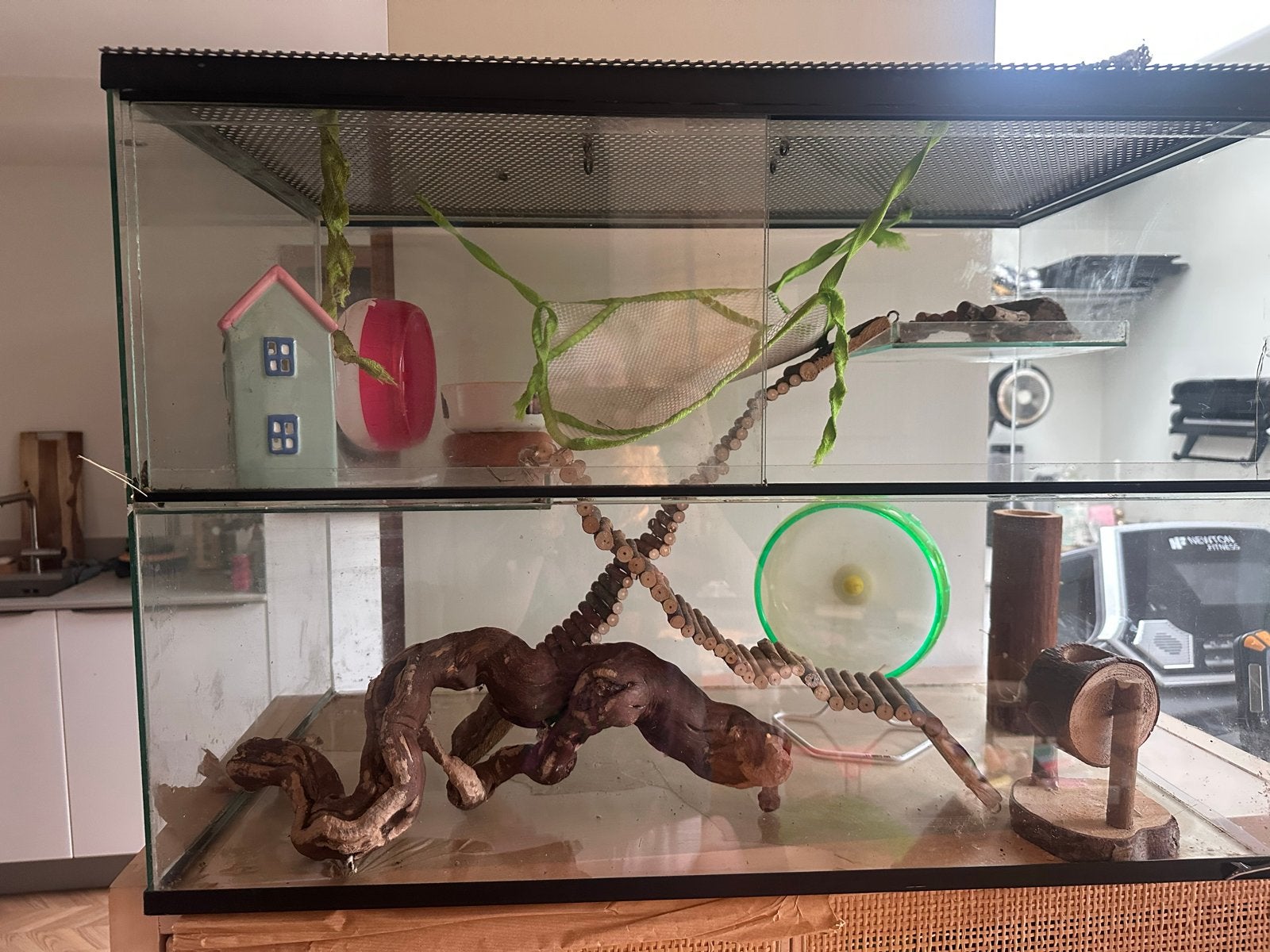 Hamster glazen terrarium veblijf kooi, Dieren en Toebehoren, Knaagdieren en Konijnen | Toebehoren, Ophalen