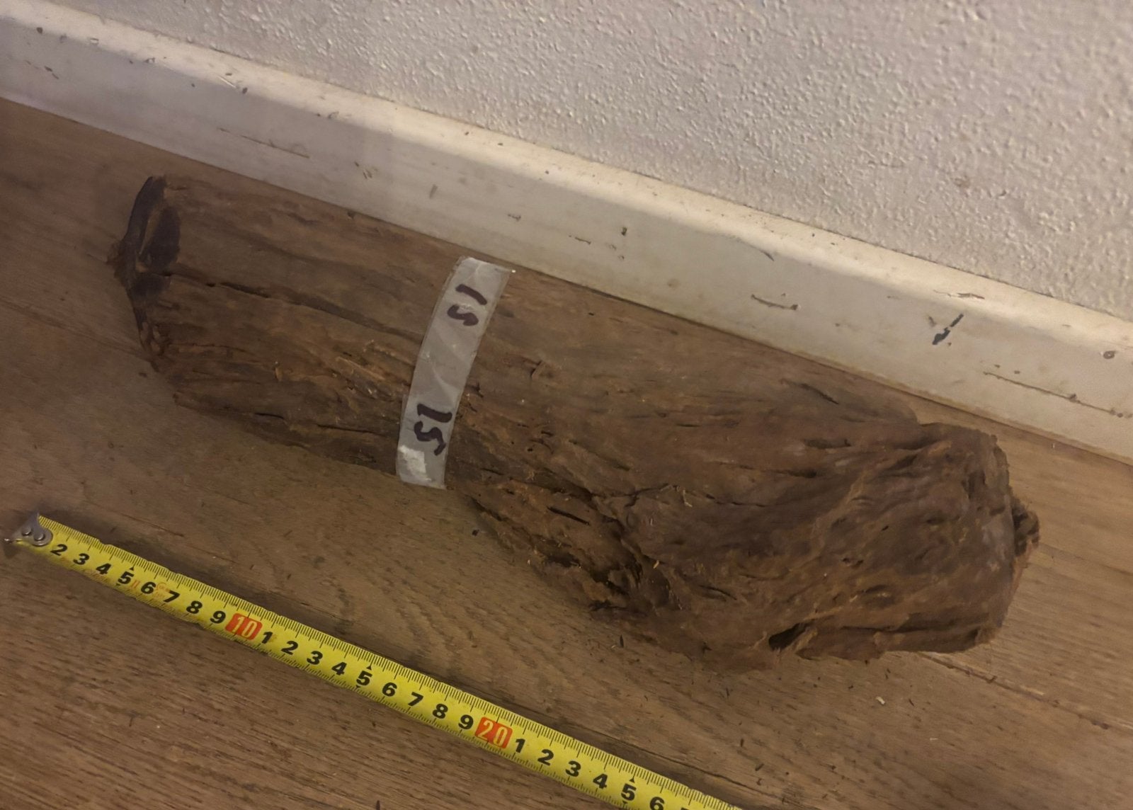 Mooi robuust stuk kienhout! 15€, Dieren en Toebehoren, Ophalen of Verzenden, Nieuw, Plant(en), Steen of Hout
