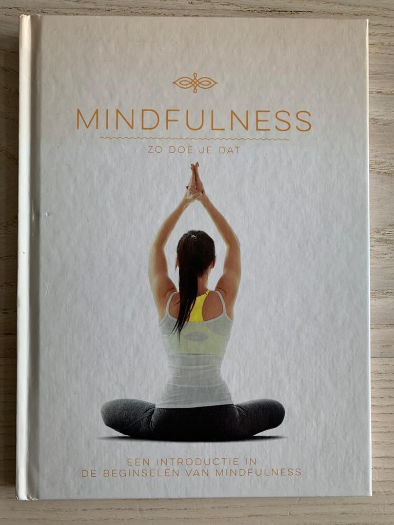 Mindfulness boek, Ophalen of Verzenden, Zo goed als nieuw, Overige typen