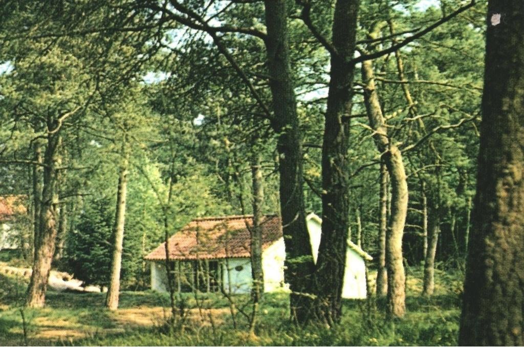 992149 Dieverbrug 383 Dr Vakantiecentrum ELLERT EN BRAMMERT, Verzamelen, Verzenden, 1980 tot heden, Gelopen, Drenthe