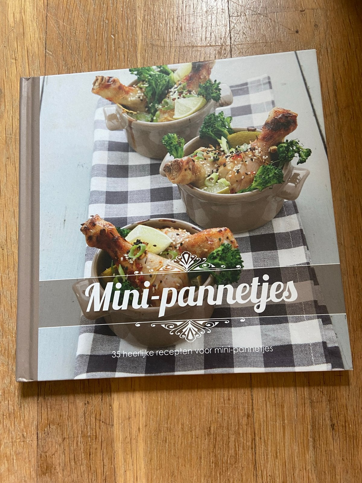 Mini-pannetjes: 35 heerlijke recepten, Boeken, Ophalen of Verzenden, Zo goed als nieuw, Overige gebieden, Hoofdgerechten