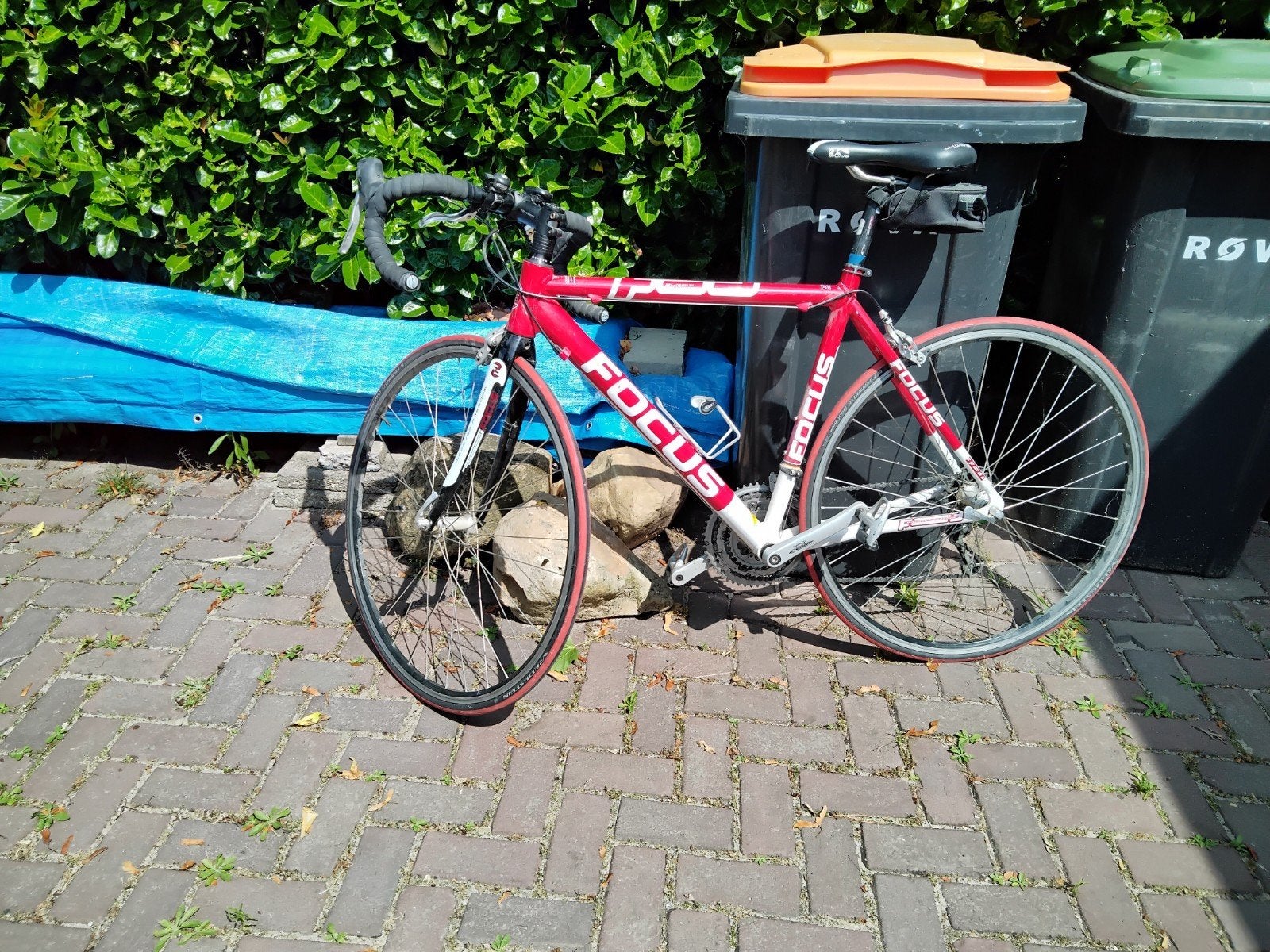Focus Racefiets - Rood/Wit, 28 inch, Gebruikt, Velgrem, Aluminium