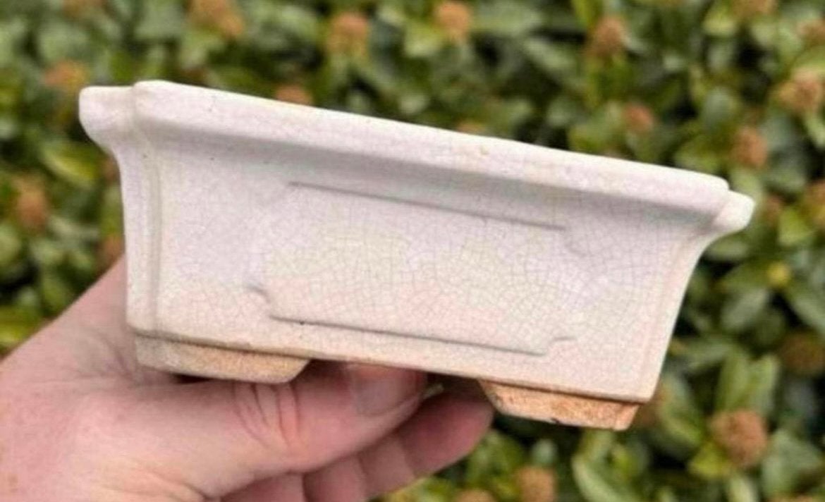 Bonsai schaal crème geglazuurd aardewerk 14x9,8x5,2, Tuin en Terras, Bloempotten, Ophalen of Verzenden, Zo goed als nieuw, Aardewerk