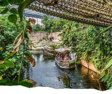 Wildlands Emmen 14 Augustus, Drie personen of meer, Ticket of Toegangskaart