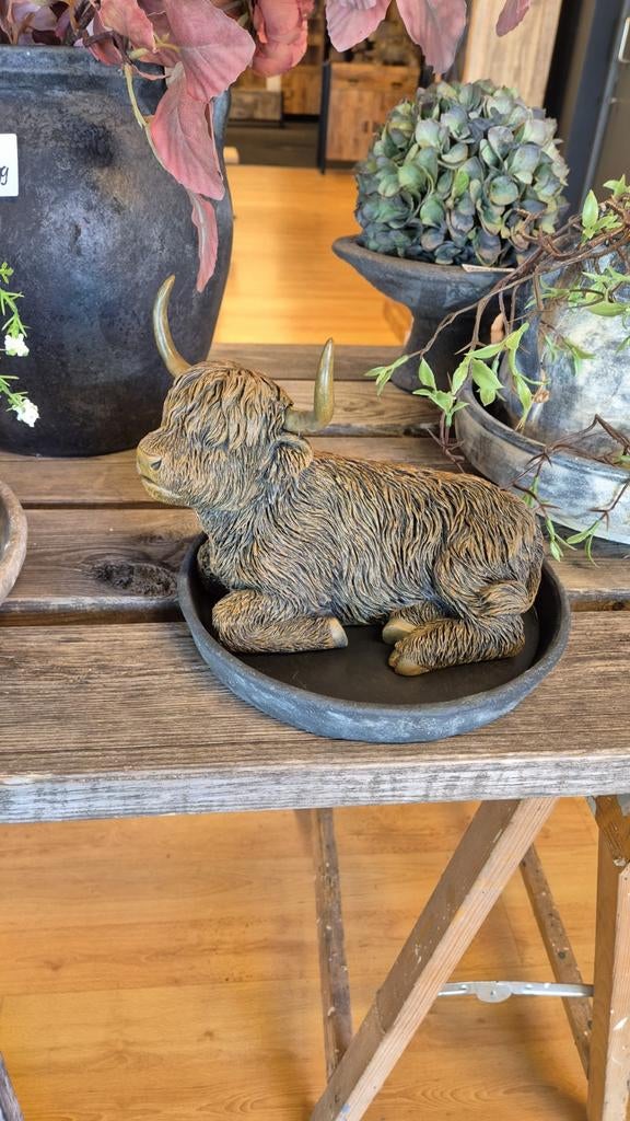 Decoratieve Hooglanders - Diverse Maten en Poses, Ophalen of Verzenden