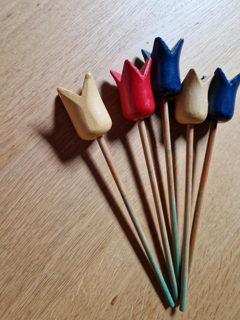 BOSJE HOUTEN TULPEN 🌷🌷, Ophalen of Verzenden