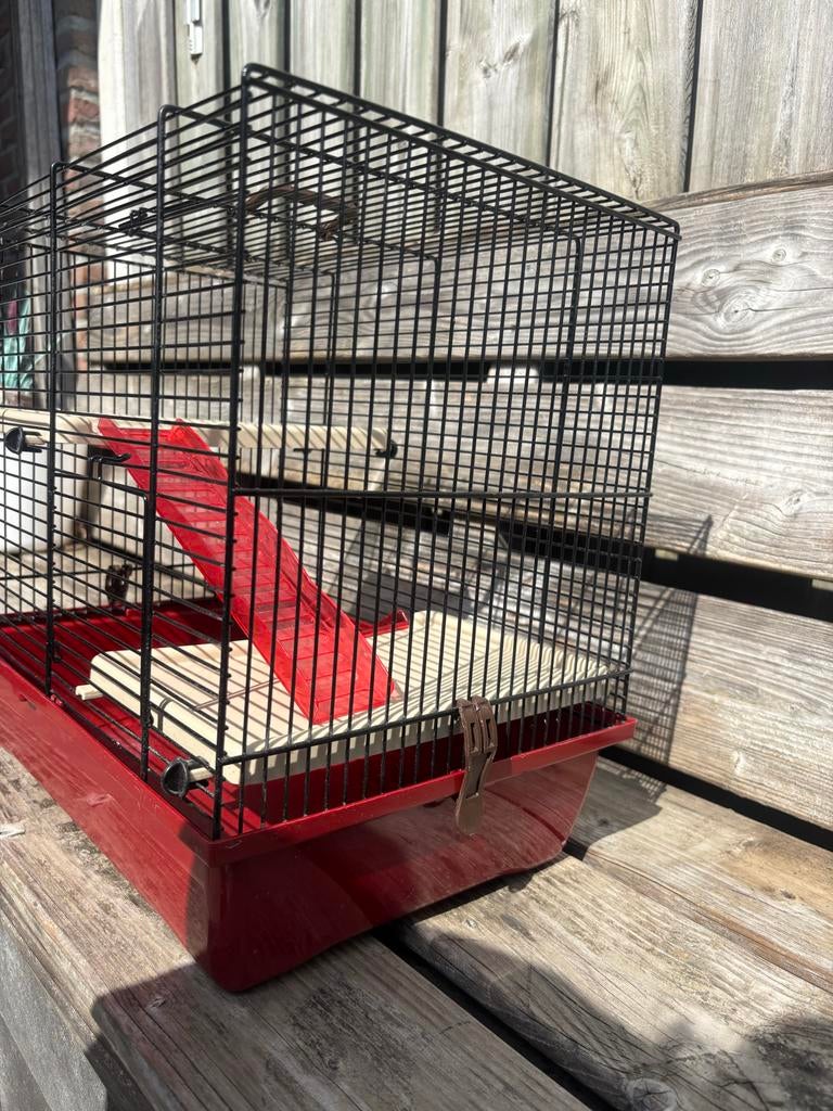 Hamsterhok + bal, Dieren en Toebehoren, Gebruikt, Minder dan 75 cm, Ophalen, Minder dan 60 cm