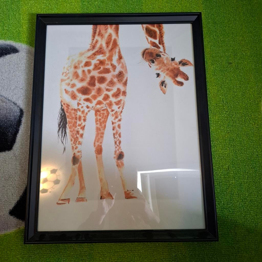 Schilderij met poster van giraffe, Ophalen of Verzenden