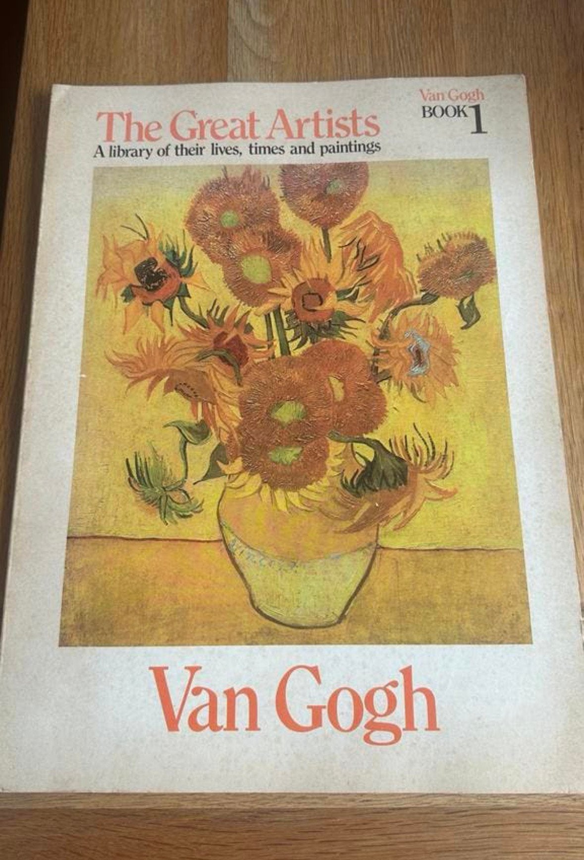 Boekwerk van de beroemde schilder Vincent v Gogh, Ophalen of Verzenden, Gelezen, Schilder- en Tekenkunst