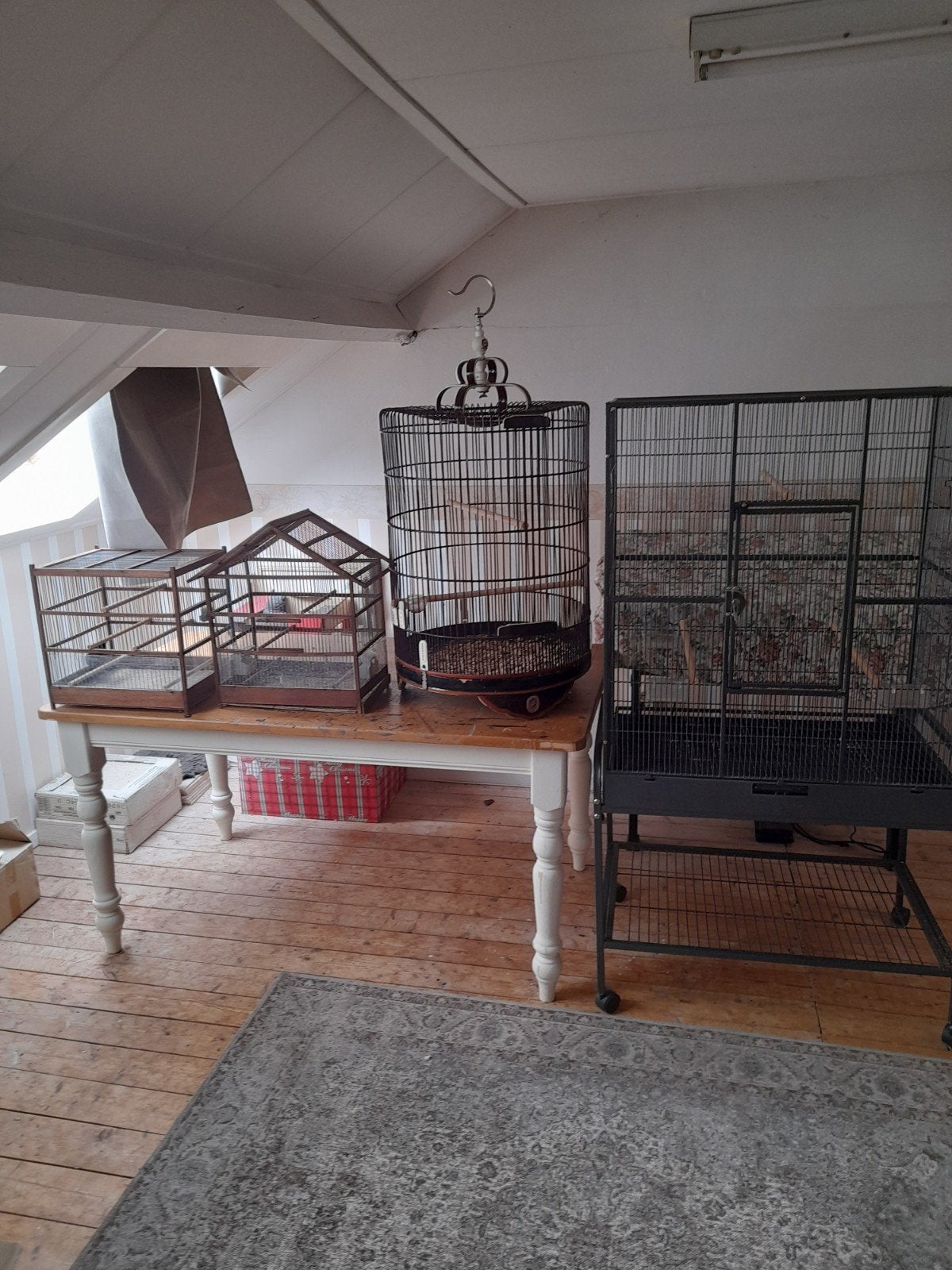 Vogelkooien 4x, Dieren en Toebehoren, Ophalen, Zo goed als nieuw, Metaal, Vogelkooi